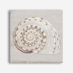 Shop Neutral Shells I (Square) Canvas Print a painted abstract themed framed canvas wall art print from The Print Emporium artwork collection - Buy Australian made fine art painting style stretched canvas prints for the home and your interior decor space, TPE-PC-EW142-CA-40X40-NF