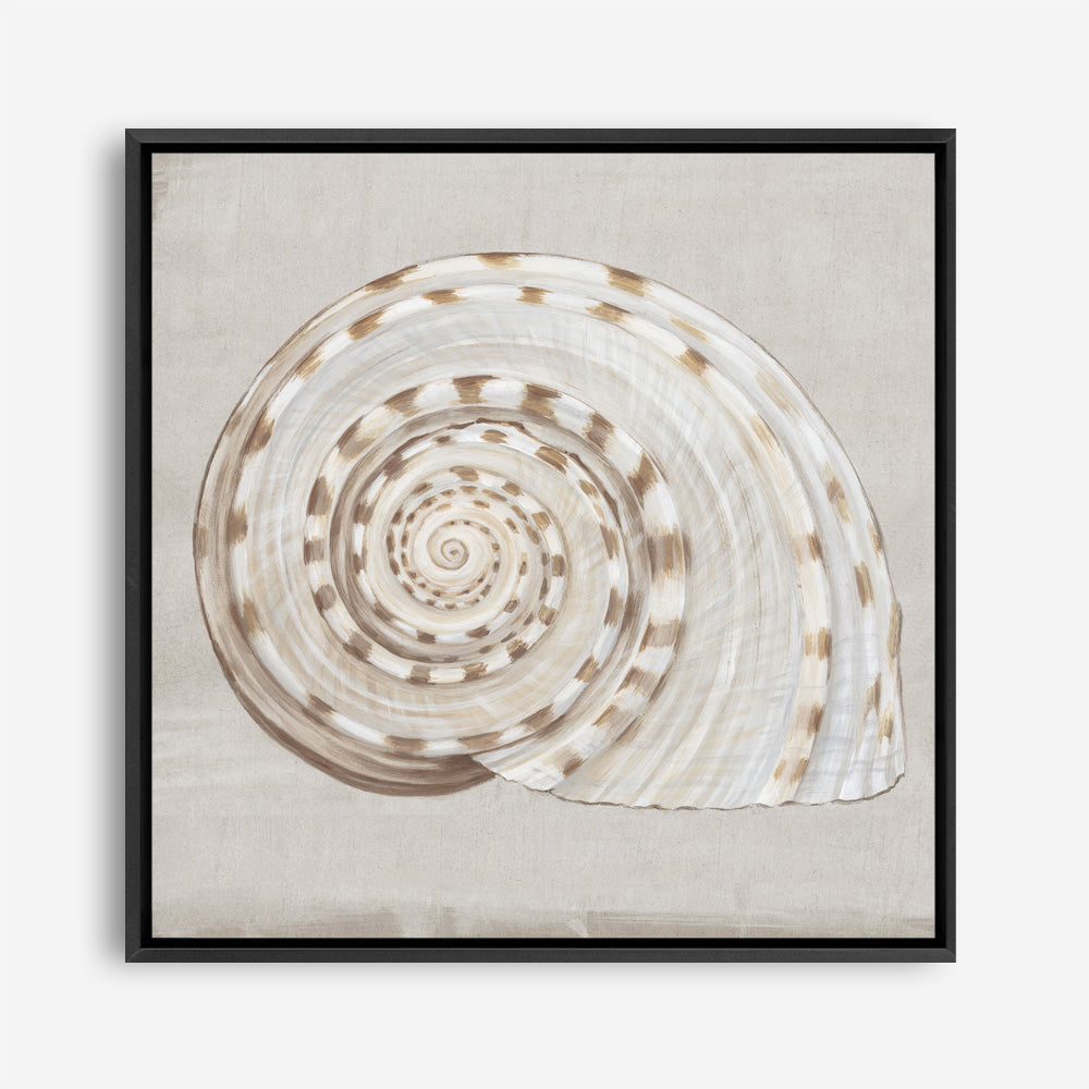 Shop Neutral Shells I (Square) Canvas Print a painted abstract themed framed canvas wall art print from The Print Emporium artwork collection - Buy Australian made fine art painting style stretched canvas prints for the home and your interior decor space, TPE-PC-EW142-CA-40X40-NF