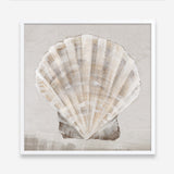 Shop Neutral Shells II (Square) Art Print a painted abstract themed wall art print from The Print Emporium wall artwork collection - Buy Australian made fine art painting style poster and framed prints for the home and your interior decor room, TPE-PC-EW143-AP