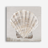 Shop Neutral Shells II (Square) Canvas Print a painted abstract themed framed canvas wall art print from The Print Emporium artwork collection - Buy Australian made fine art painting style stretched canvas prints for the home and your interior decor space, TPE-PC-EW143-CA-40X40-NF