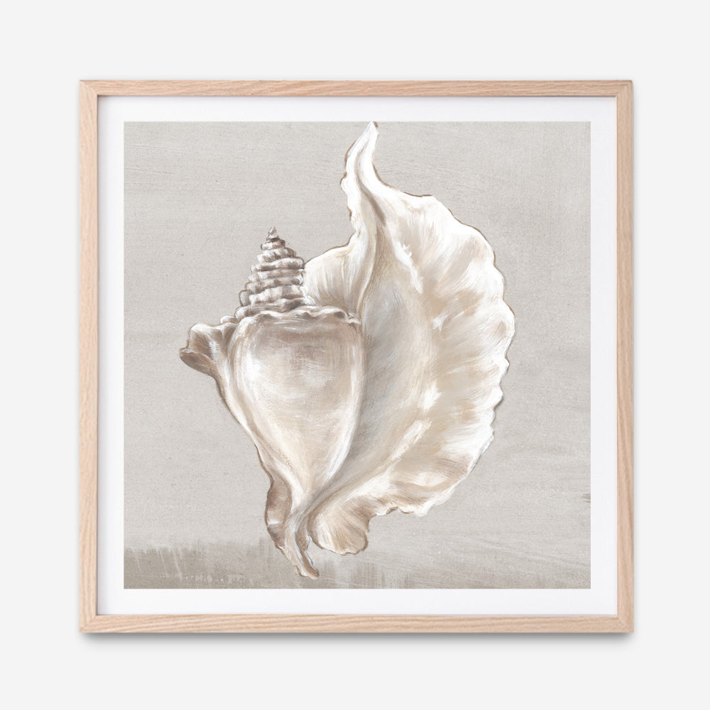 Shop Neutral Shells III (Square) Art Print a painted abstract themed wall art print from The Print Emporium wall artwork collection - Buy Australian made fine art painting style poster and framed prints for the home and your interior decor room, TPE-PC-EW144-AP