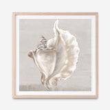 Shop Neutral Shells III (Square) Art Print a painted abstract themed wall art print from The Print Emporium wall artwork collection - Buy Australian made fine art painting style poster and framed prints for the home and your interior decor room, TPE-PC-EW144-AP