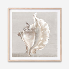 Shop Neutral Shells III (Square) Art Print a painted abstract themed wall art print from The Print Emporium wall artwork collection - Buy Australian made fine art painting style poster and framed prints for the home and your interior decor room, TPE-PC-EW144-AP