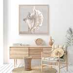 Shop Neutral Shells III (Square) Art Print a painted abstract themed wall art print from The Print Emporium wall artwork collection - Buy Australian made fine art painting style poster and framed prints for the home and your interior decor room, TPE-PC-EW144-AP
