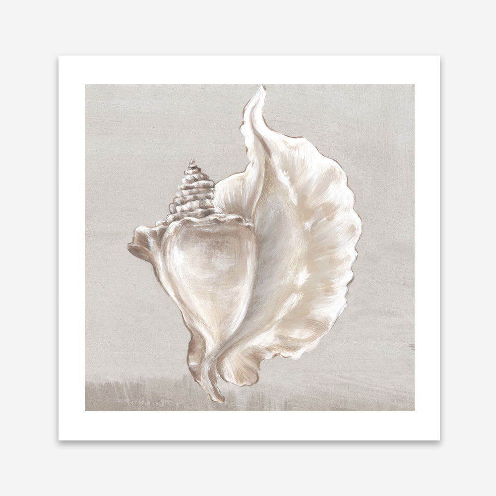 Shop Neutral Shells III (Square) Art Print a painted abstract themed wall art print from The Print Emporium wall artwork collection - Buy Australian made fine art painting style poster and framed prints for the home and your interior decor room, TPE-PC-EW144-AP