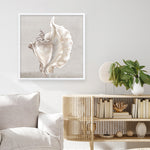 Shop Neutral Shells III (Square) Art Print a painted abstract themed wall art print from The Print Emporium wall artwork collection - Buy Australian made fine art painting style poster and framed prints for the home and your interior decor room, TPE-PC-EW144-AP