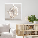 Shop Neutral Shells III (Square) Art Print a painted abstract themed wall art print from The Print Emporium wall artwork collection - Buy Australian made fine art painting style poster and framed prints for the home and your interior decor room, TPE-PC-EW144-AP