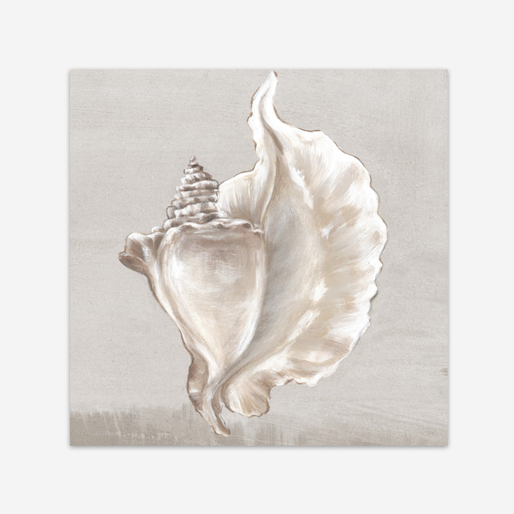 Shop Neutral Shells III (Square) Art Print a painted abstract themed wall art print from The Print Emporium wall artwork collection - Buy Australian made fine art painting style poster and framed prints for the home and your interior decor room, TPE-PC-EW144-AP