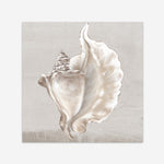 Shop Neutral Shells III (Square) Art Print a painted abstract themed wall art print from The Print Emporium wall artwork collection - Buy Australian made fine art painting style poster and framed prints for the home and your interior decor room, TPE-PC-EW144-AP