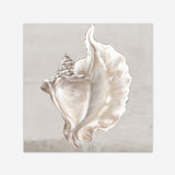 Shop Neutral Shells III (Square) Art Print a painted abstract themed wall art print from The Print Emporium wall artwork collection - Buy Australian made fine art painting style poster and framed prints for the home and your interior decor room, TPE-PC-EW144-AP