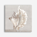 Shop Neutral Shells III (Square) Canvas Print a painted abstract themed framed canvas wall art print from The Print Emporium artwork collection - Buy Australian made fine art painting style stretched canvas prints for the home and your interior decor space, TPE-PC-EW144-CA-40X40-NF