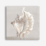 Shop Neutral Shells III (Square) Canvas Print a painted abstract themed framed canvas wall art print from The Print Emporium artwork collection - Buy Australian made fine art painting style stretched canvas prints for the home and your interior decor space, TPE-PC-EW144-CA-40X40-NF