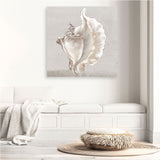 Shop Neutral Shells III (Square) Canvas Print a painted abstract themed framed canvas wall art print from The Print Emporium artwork collection - Buy Australian made fine art painting style stretched canvas prints for the home and your interior decor space, TPE-PC-EW144-CA-40X40-NF