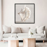 Shop Neutral Shells III (Square) Canvas Print a painted abstract themed framed canvas wall art print from The Print Emporium artwork collection - Buy Australian made fine art painting style stretched canvas prints for the home and your interior decor space, TPE-PC-EW144-CA-40X40-NF
