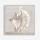 Shop Neutral Shells III (Square) Canvas Print a painted abstract themed framed canvas wall art print from The Print Emporium artwork collection - Buy Australian made fine art painting style stretched canvas prints for the home and your interior decor space, TPE-PC-EW144-CA-40X40-NF