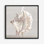 Shop Neutral Shells III (Square) Canvas Print a painted abstract themed framed canvas wall art print from The Print Emporium artwork collection - Buy Australian made fine art painting style stretched canvas prints for the home and your interior decor space, TPE-PC-EW144-CA-40X40-NF