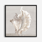 Shop Neutral Shells III (Square) Canvas Print a painted abstract themed framed canvas wall art print from The Print Emporium artwork collection - Buy Australian made fine art painting style stretched canvas prints for the home and your interior decor space, TPE-PC-EW144-CA-40X40-NF