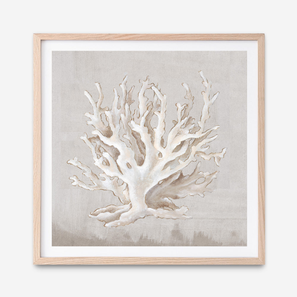 Shop Neutral Shells IV (Square) Art Print a painted abstract themed wall art print from The Print Emporium wall artwork collection - Buy Australian made fine art painting style poster and framed prints for the home and your interior decor room, TPE-PC-EW187-AP