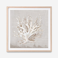 Shop Neutral Shells IV (Square) Art Print a painted abstract themed wall art print from The Print Emporium wall artwork collection - Buy Australian made fine art painting style poster and framed prints for the home and your interior decor room, TPE-PC-EW187-AP