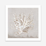 Shop Neutral Shells IV (Square) Art Print a painted abstract themed wall art print from The Print Emporium wall artwork collection - Buy Australian made fine art painting style poster and framed prints for the home and your interior decor room, TPE-PC-EW187-AP