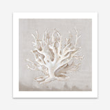 Shop Neutral Shells IV (Square) Art Print a painted abstract themed wall art print from The Print Emporium wall artwork collection - Buy Australian made fine art painting style poster and framed prints for the home and your interior decor room, TPE-PC-EW187-AP