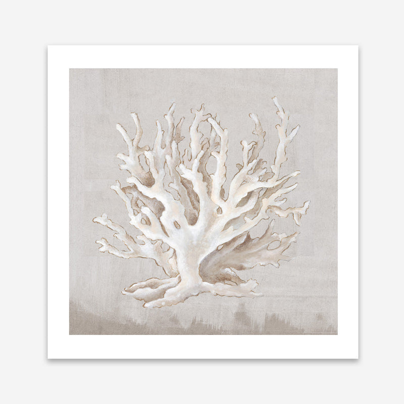 Shop Neutral Shells IV (Square) Art Print a painted abstract themed wall art print from The Print Emporium wall artwork collection - Buy Australian made fine art painting style poster and framed prints for the home and your interior decor room, TPE-PC-EW187-AP