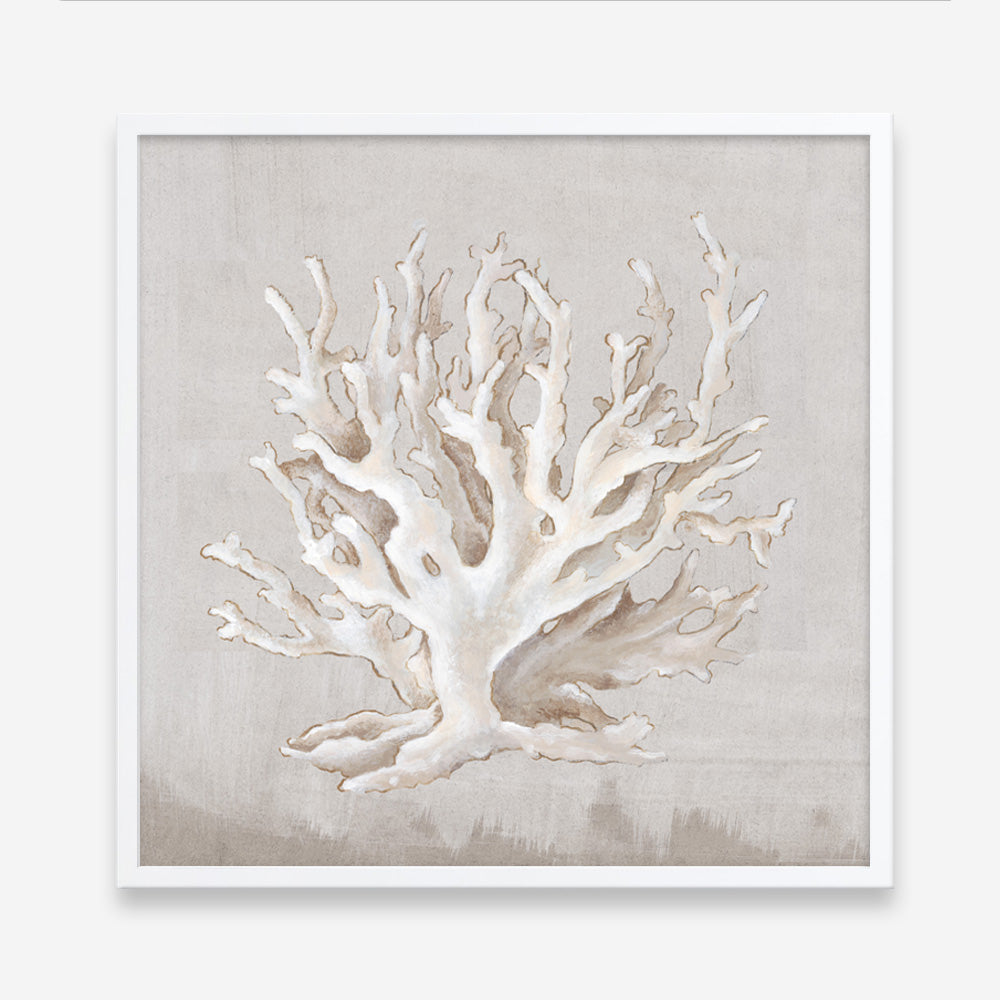 Shop Neutral Shells IV (Square) Art Print a painted abstract themed wall art print from The Print Emporium wall artwork collection - Buy Australian made fine art painting style poster and framed prints for the home and your interior decor room, TPE-PC-EW187-AP