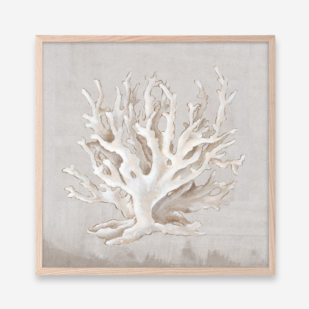 Shop Neutral Shells IV (Square) Art Print a painted abstract themed wall art print from The Print Emporium wall artwork collection - Buy Australian made fine art painting style poster and framed prints for the home and your interior decor room, TPE-PC-EW187-AP
