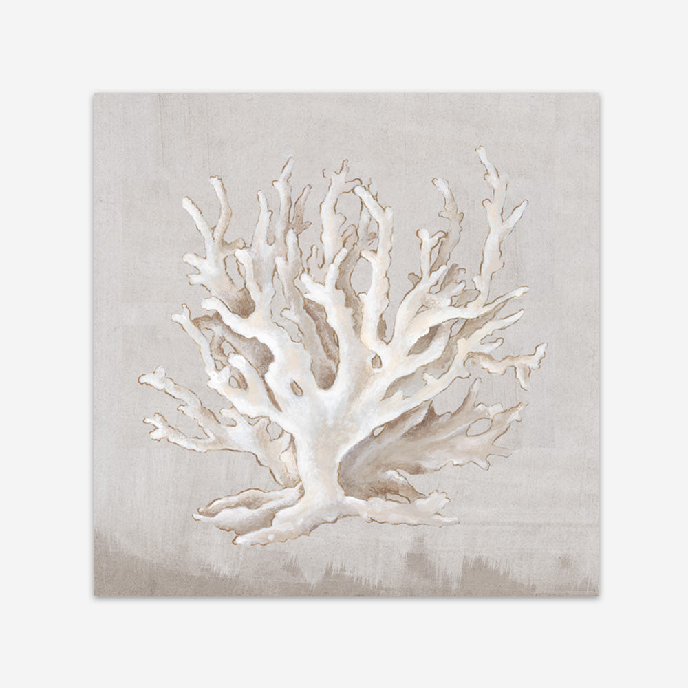 Shop Neutral Shells IV (Square) Art Print a painted abstract themed wall art print from The Print Emporium wall artwork collection - Buy Australian made fine art painting style poster and framed prints for the home and your interior decor room, TPE-PC-EW187-AP
