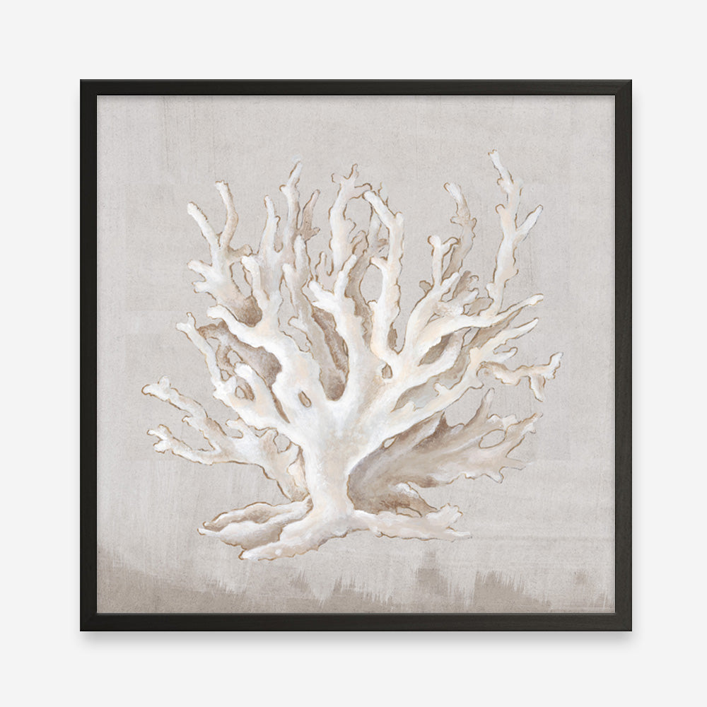 Shop Neutral Shells IV (Square) Art Print a painted abstract themed wall art print from The Print Emporium wall artwork collection - Buy Australian made fine art painting style poster and framed prints for the home and your interior decor room, TPE-PC-EW187-AP