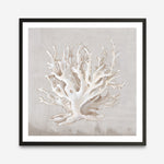 Shop Neutral Shells IV (Square) Art Print a painted abstract themed wall art print from The Print Emporium wall artwork collection - Buy Australian made fine art painting style poster and framed prints for the home and your interior decor room, TPE-PC-EW187-AP