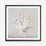 Shop Neutral Shells IV (Square) Art Print a painted abstract themed wall art print from The Print Emporium wall artwork collection - Buy Australian made fine art painting style poster and framed prints for the home and your interior decor room, TPE-PC-EW187-AP
