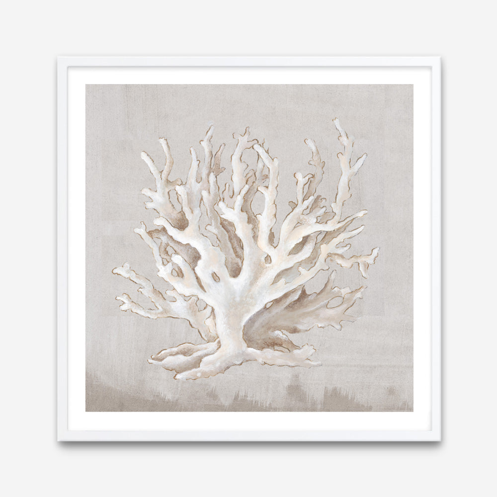 Shop Neutral Shells IV (Square) Art Print a painted abstract themed wall art print from The Print Emporium wall artwork collection - Buy Australian made fine art painting style poster and framed prints for the home and your interior decor room, TPE-PC-EW187-AP