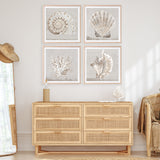 Shop Neutral Shells IV (Square) Art Print a painted abstract themed wall art print from The Print Emporium wall artwork collection - Buy Australian made fine art painting style poster and framed prints for the home and your interior decor room, TPE-PC-EW187-AP