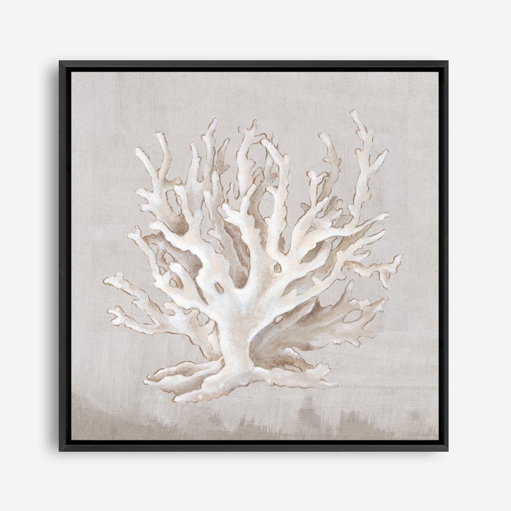 Shop Neutral Shells IV (Square) Canvas Print a painted abstract themed framed canvas wall art print from The Print Emporium artwork collection - Buy Australian made fine art painting style stretched canvas prints for the home and your interior decor space, TPE-PC-EW187-CA-40X40-NF