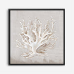 Shop Neutral Shells IV (Square) Canvas Print a painted abstract themed framed canvas wall art print from The Print Emporium artwork collection - Buy Australian made fine art painting style stretched canvas prints for the home and your interior decor space, TPE-PC-EW187-CA-40X40-NF