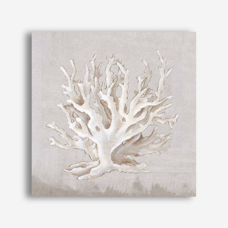 Shop Neutral Shells IV (Square) Canvas Print a painted abstract themed framed canvas wall art print from The Print Emporium artwork collection - Buy Australian made fine art painting style stretched canvas prints for the home and your interior decor space, TPE-PC-EW187-CA-40X40-NF
