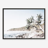 Shop Noosa Bay I Photo Art Print a coastal themed photography wall art print from The Print Emporium wall artwork collection - Buy Australian made fine art poster and framed prints for the home and your interior decor, TPE-1231-AP