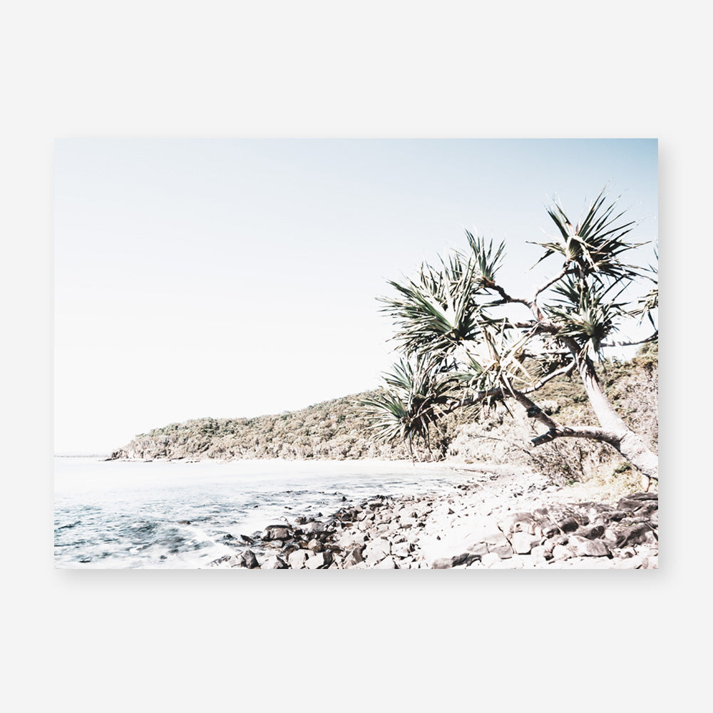 Shop Noosa Bay I Photo Art Print a coastal themed photography wall art print from The Print Emporium wall artwork collection - Buy Australian made fine art poster and framed prints for the home and your interior decor, TPE-1231-AP