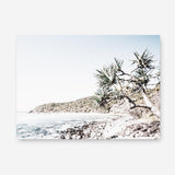 Shop Noosa Bay I Photo Canvas Print a coastal themed photography framed stretched canvas print from The Print Emporium wall artwork collection - Buy Australian made prints for the home and your interior decor space, TPE-1231-CA-35X46-NF