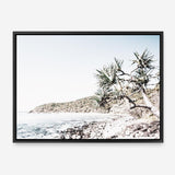 Shop Noosa Bay I Photo Canvas Print a coastal themed photography framed stretched canvas print from The Print Emporium wall artwork collection - Buy Australian made prints for the home and your interior decor space, TPE-1231-CA-35X46-NF