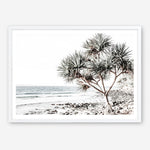 Shop Noosa I Photo Art Print a coastal themed photography wall art print from The Print Emporium wall artwork collection - Buy Australian made fine art poster and framed prints for the home and your interior decor, TPE-600-AP