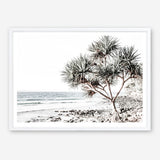 Shop Noosa I Photo Art Print a coastal themed photography wall art print from The Print Emporium wall artwork collection - Buy Australian made fine art poster and framed prints for the home and your interior decor, TPE-600-AP