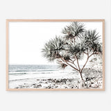 Shop Noosa I Photo Art Print a coastal themed photography wall art print from The Print Emporium wall artwork collection - Buy Australian made fine art poster and framed prints for the home and your interior decor, TPE-600-AP