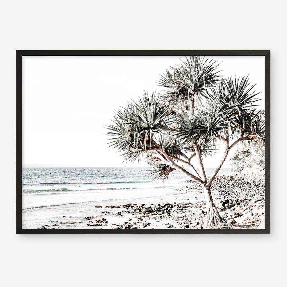 Shop Noosa I Photo Art Print a coastal themed photography wall art print from The Print Emporium wall artwork collection - Buy Australian made fine art poster and framed prints for the home and your interior decor, TPE-600-AP