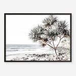 Shop Noosa I Photo Art Print a coastal themed photography wall art print from The Print Emporium wall artwork collection - Buy Australian made fine art poster and framed prints for the home and your interior decor, TPE-600-AP