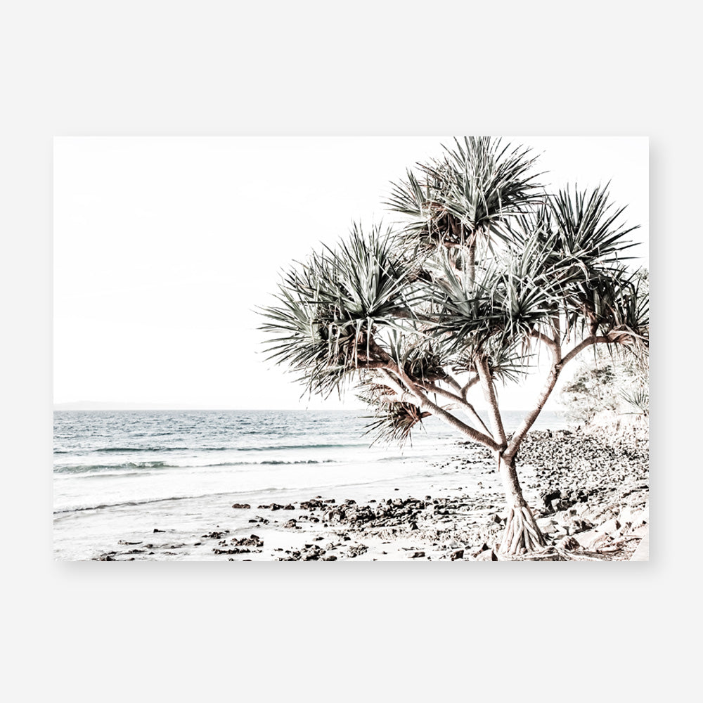 Shop Noosa I Photo Art Print a coastal themed photography wall art print from The Print Emporium wall artwork collection - Buy Australian made fine art poster and framed prints for the home and your interior decor, TPE-600-AP