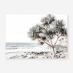 Shop Noosa I Photo Art Print a coastal themed photography wall art print from The Print Emporium wall artwork collection - Buy Australian made fine art poster and framed prints for the home and your interior decor, TPE-600-AP