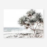 Shop Noosa I Photo Art Print a coastal themed photography wall art print from The Print Emporium wall artwork collection - Buy Australian made fine art poster and framed prints for the home and your interior decor, TPE-600-AP