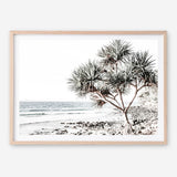 Shop Noosa I Photo Art Print a coastal themed photography wall art print from The Print Emporium wall artwork collection - Buy Australian made fine art poster and framed prints for the home and your interior decor, TPE-600-AP